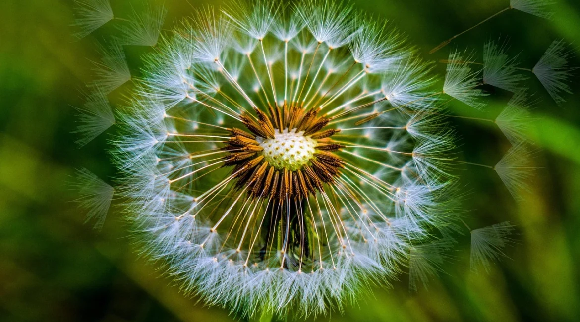 You Are Not Broken: How Energy Healing Helps You Reclaim Your Wholeness