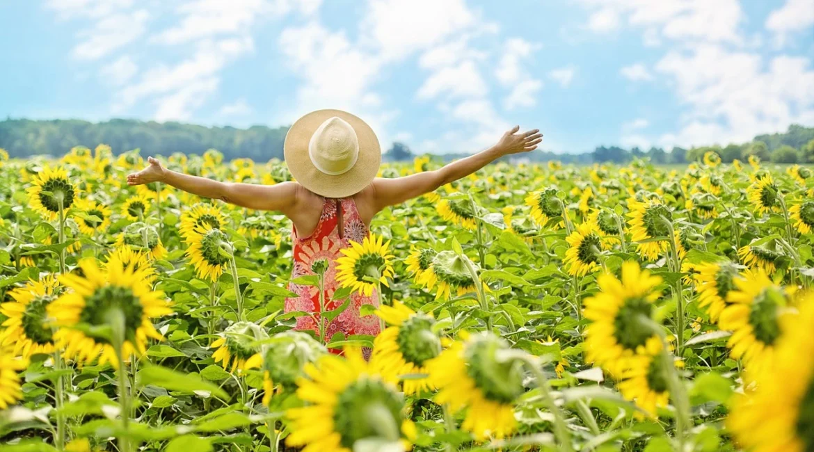 Healing Beyond Medicine: How Medical Intuitive Technique Complements Traditional Healthcare